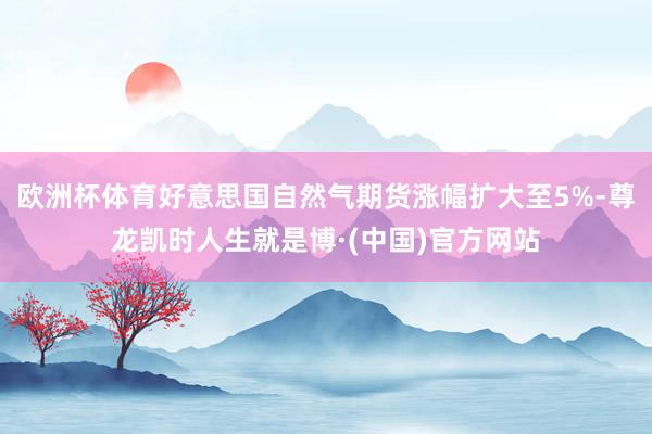 欧洲杯体育好意思国自然气期货涨幅扩大至5%-尊龙凯时人生就是博·(中国)官方网站