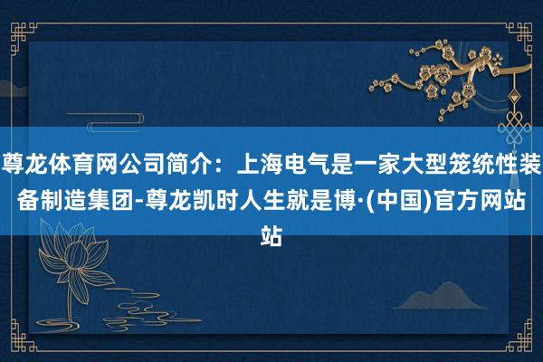 尊龙体育网公司简介：上海电气是一家大型笼统性装备制造集团-尊龙凯时人生就是博·(中国)官方网站
