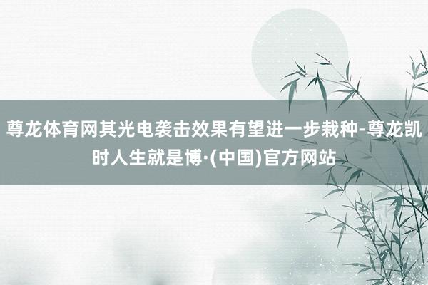 尊龙体育网其光电袭击效果有望进一步栽种-尊龙凯时人生就是博·(中国)官方网站