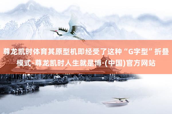 尊龙凯时体育其原型机即经受了这种“G字型”折叠模式-尊龙凯时人生就是博·(中国)官方网站