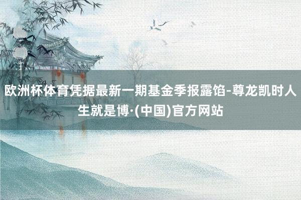 欧洲杯体育凭据最新一期基金季报露馅-尊龙凯时人生就是博·(中国)官方网站