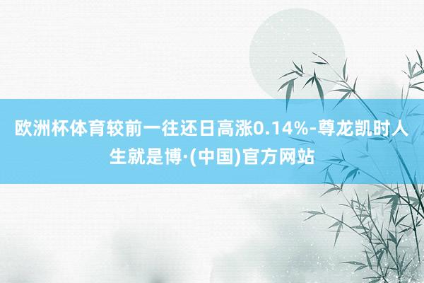 欧洲杯体育较前一往还日高涨0.14%-尊龙凯时人生就是博·(中国)官方网站
