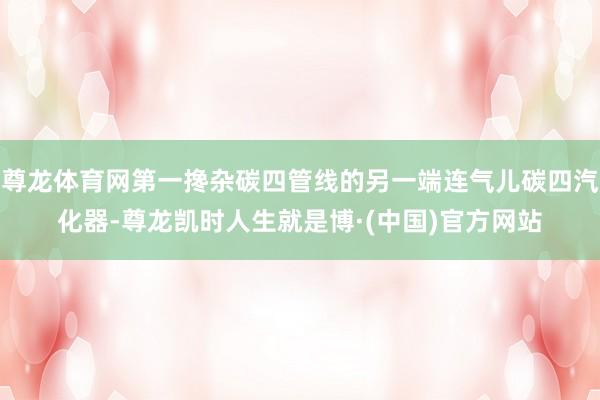 尊龙体育网第一搀杂碳四管线的另一端连气儿碳四汽化器-尊龙凯时人生就是博·(中国)官方网站