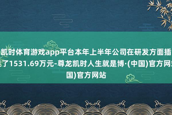 凯时体育游戏app平台本年上半年公司在研发方面插足了1531.69万元-尊龙凯时人生就是博·(中国)官方网站