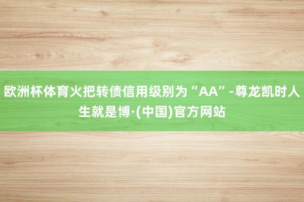 欧洲杯体育火把转债信用级别为“AA”-尊龙凯时人生就是博·(中国)官方网站