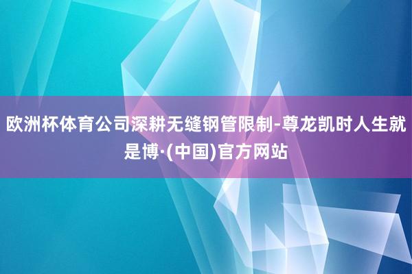 欧洲杯体育公司深耕无缝钢管限制-尊龙凯时人生就是博·(中国)官方网站