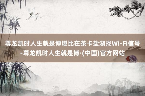尊龙凯时人生就是博堪比在茶卡盐湖找Wi-Fi信号-尊龙凯时人生就是博·(中国)官方网站